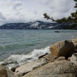 Meet your Posher, Sophia